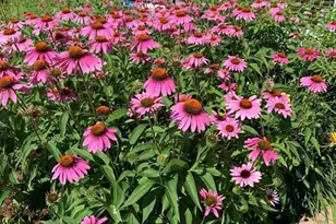 23566 Adams St, Independence, WI 54747 - Photo 51