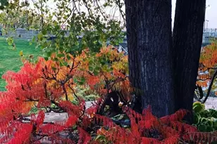 23566 Adams St, Independence, WI 54747 - Photo 53