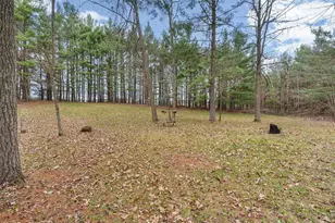 N5353 Thornapple Rd, Ladysmith, WI 54848 - Photo 43
