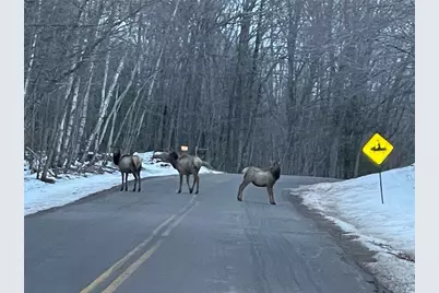 10562 Forest Circle Drive, Hayward, WI 54843 - Photo 27