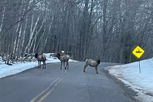 10562 Forest Circle Dr, Hayward, WI 54843 - Photo 27