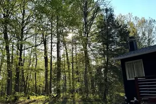 2649 28 1/8 St, Birchwood, WI 54817 - Photo 29