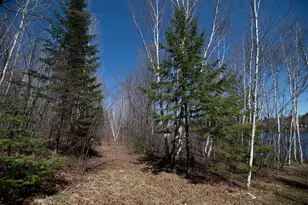 7258N Knowles Rd, Winter, WI 54896 - Photo 55