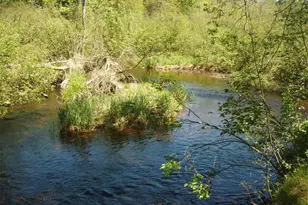 W9798 Fleming Rd, Park Falls, WI 54552 - Photo 53