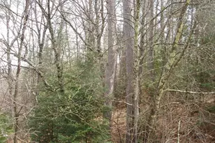 W9798 Fleming Rd, Park Falls, WI 54552 - Photo 9