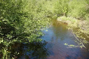 W9798 Fleming Rd, Park Falls, WI 54552 - Photo 55