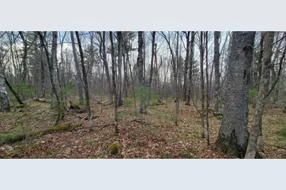 9000 Forest Road #163, Butternut, WI 54514 - Photo 37