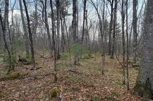 9000 Forest Rd, Butternut, WI 54514 - Photo 37