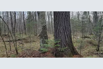 9000 Forest Road #163, Butternut, WI 54514 - Photo 41