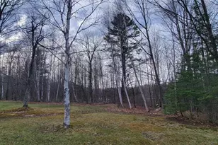 9000 Forest Rd, Butternut, WI 54514 - Photo 43