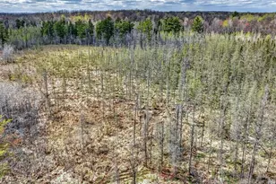 W6283 Co Rd I, Ladysmith, WI 54848 - Photo 43