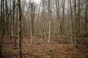 7465 Barker Lake Rd, Winter, WI 54896 - Photo 15
