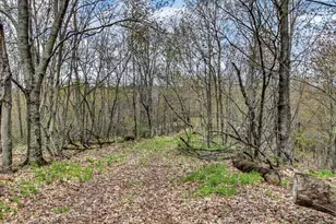 N9370 County Rd P, Blair, WI 54616 - Photo 41