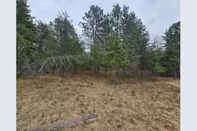 Lot 20 George Lake Road, Barnes, WI 54873 - Photo 5
