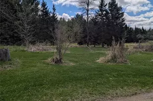23505 State Hwy 27, Holcombe, WI 54745 - Photo 29