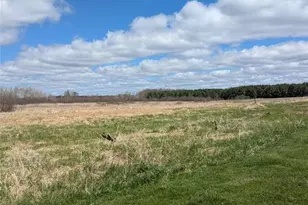 23505 State Hwy 27, Holcombe, WI 54745 - Photo 27