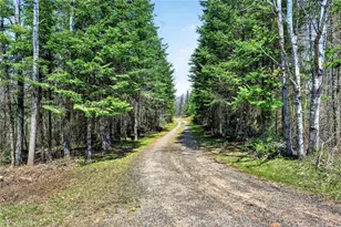 8225 Blaisdell Lake Rd, Winter, WI 54896 - Photo 57