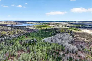 8225 Blaisdell Lake Rd, Winter, WI 54896 - Photo 55