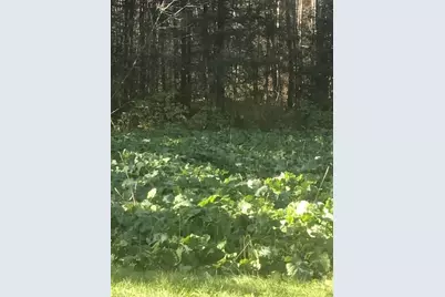 8225 Blaisdell Lake Road, Winter, WI 54896 - Photo 39