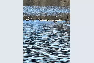 N3260 Starkey Lake Rd, Shell Lake, WI 54871 - Photo 27