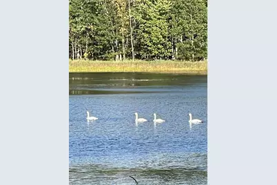 N3260 Starkey Lake Rd, Shell Lake, WI 54871 - Photo 19