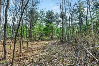 N 7238 Hwy M, Springbrook, WI 54875 - Photo 29