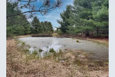 Lot 3 (5 Acres) On County Rd P, Lake Nebagamon, WI 54849 - Photo 19