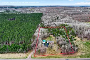 N8101 Hwy 53 Hwy, Trego, WI 54888 - Photo 5