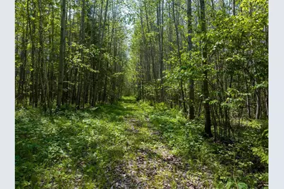 14199 County Highway M, Cable, WI 54821 - Photo 5
