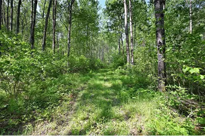 14199 County Highway M, Cable, WI 54821 - Photo 7