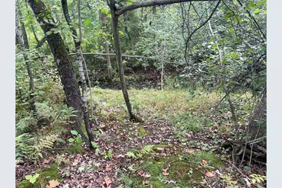 N8644 Lumbard Lane, Springbrook, WI 54875 - Photo 31