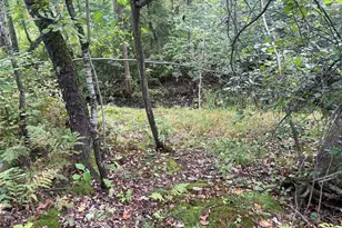 N8644 Lumbard Ln, Springbrook, WI 54875 - Photo 31