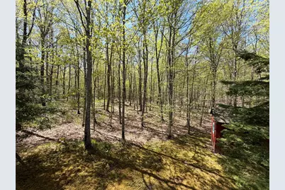 11263 Songbird Lane, Hayward, WI 54843 - Photo 53