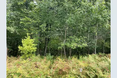 Lot 8 Hermosa Lane, Hayward, WI 54843 - Photo 3