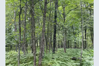 Lot 9 Hermosa Lane, Hayward, WI 54843 - Photo 9
