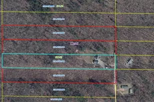 N11453 Wilderness Ave, Thorp, WI 54771 - Photo 33