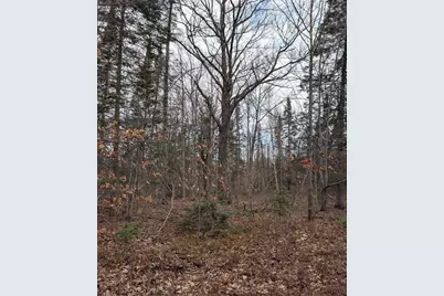 15138 Crotte Brook Trail, Dairyland, WI 54830 - Photo 53