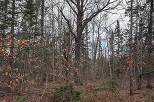 15138 Crotte Brook Trail, Dairyland, WI 54830 - Photo 53