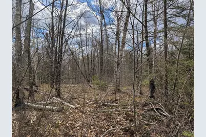 15138 Crotte Brook Trail, Dairyland, WI 54830 - Photo 39