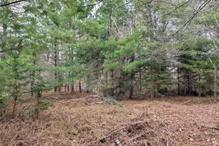 15138 Crotte Brook Trail, Dairyland, WI 54830 - Photo 57