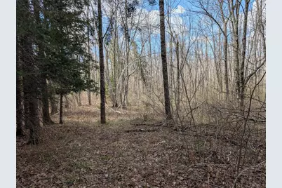 15138 Crotte Brook Trail, Dairyland, WI 54830 - Photo 47