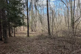 15138 Crotte Brook Trail, Dairyland, WI 54830 - Photo 47