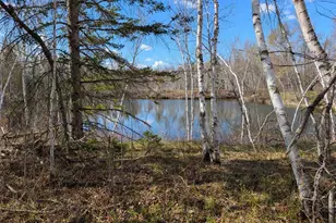 15138 Crotte Brook Trail, Dairyland, WI 54830 - Photo 15