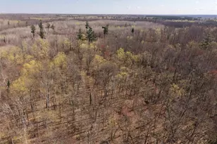 15138 Crotte Brook Trail, Dairyland, WI 54830 - Photo 33