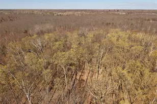 15138 S Crotte Brook Trail, Danbury, WI 54830 - Photo 39