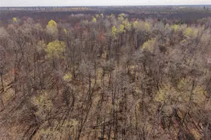 15138 Crotte Brook Trail, Dairyland, WI 54830 - Photo 29