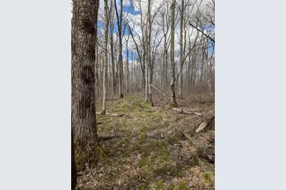 15138 Crotte Brook Trail, Dairyland, WI 54830 - Photo 43