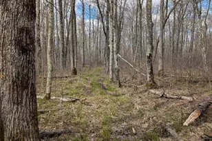 15138 Crotte Brook Trail, Dairyland, WI 54830 - Photo 43