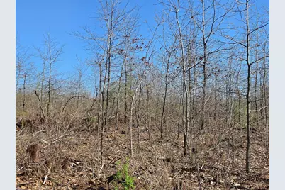 0 County Highway E Lot 3, Elk Mound, WI 54739 - Photo 7