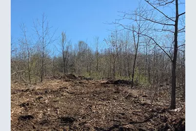 0 County Highway E Lot 3, Elk Mound, WI 54739 - Photo 9